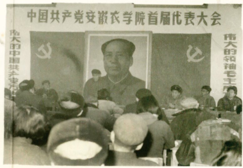 中国共产党安徽农学院第一次代表大会